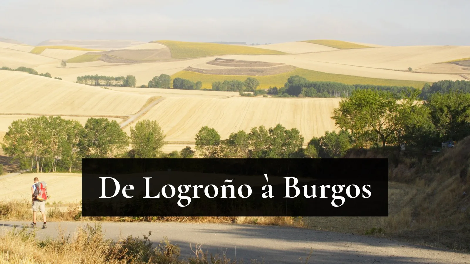 Un pèlerin sac au dos sur une piste du Camino francés en Rioja, entre des collines de céréales moissonnées
