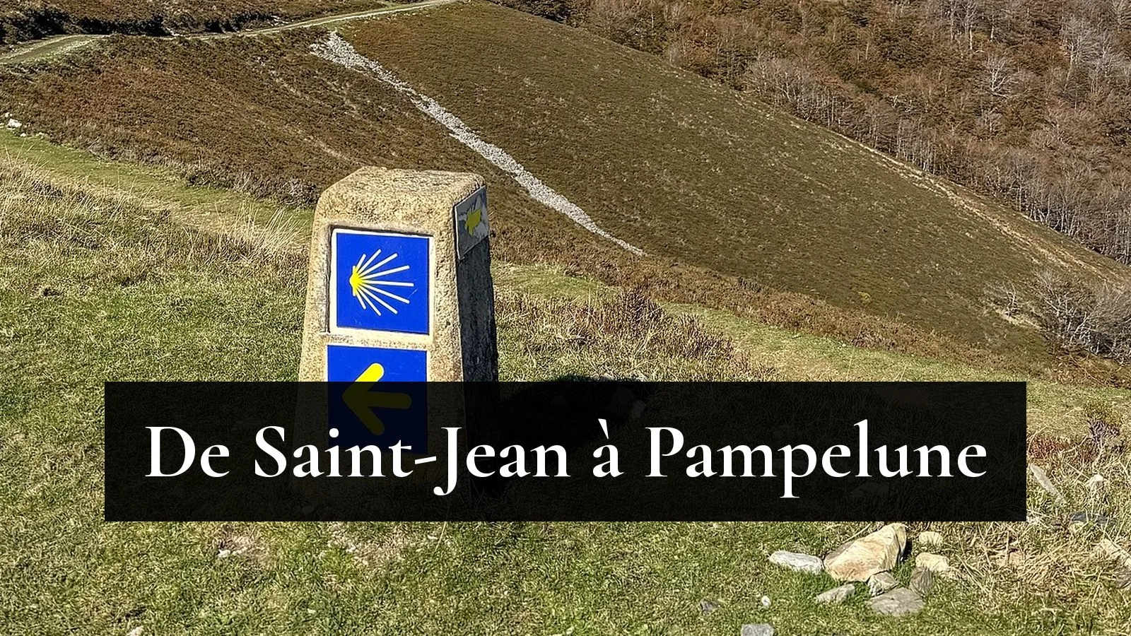 Borne jacquaire à coquille jaune sur fond bleu, au bord du chemin près du col de Lepoeder, dans les Pyrénées navarraises